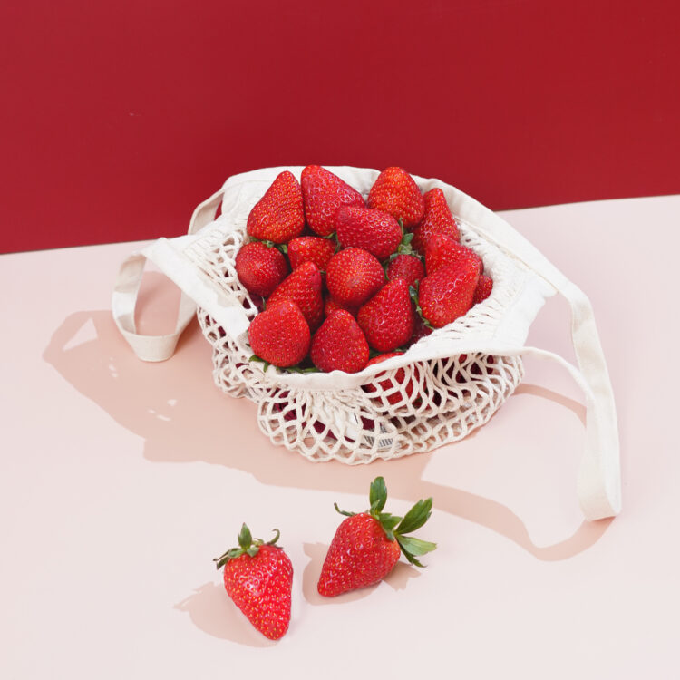 482974832_2652585151591292_1108335943777683365_n