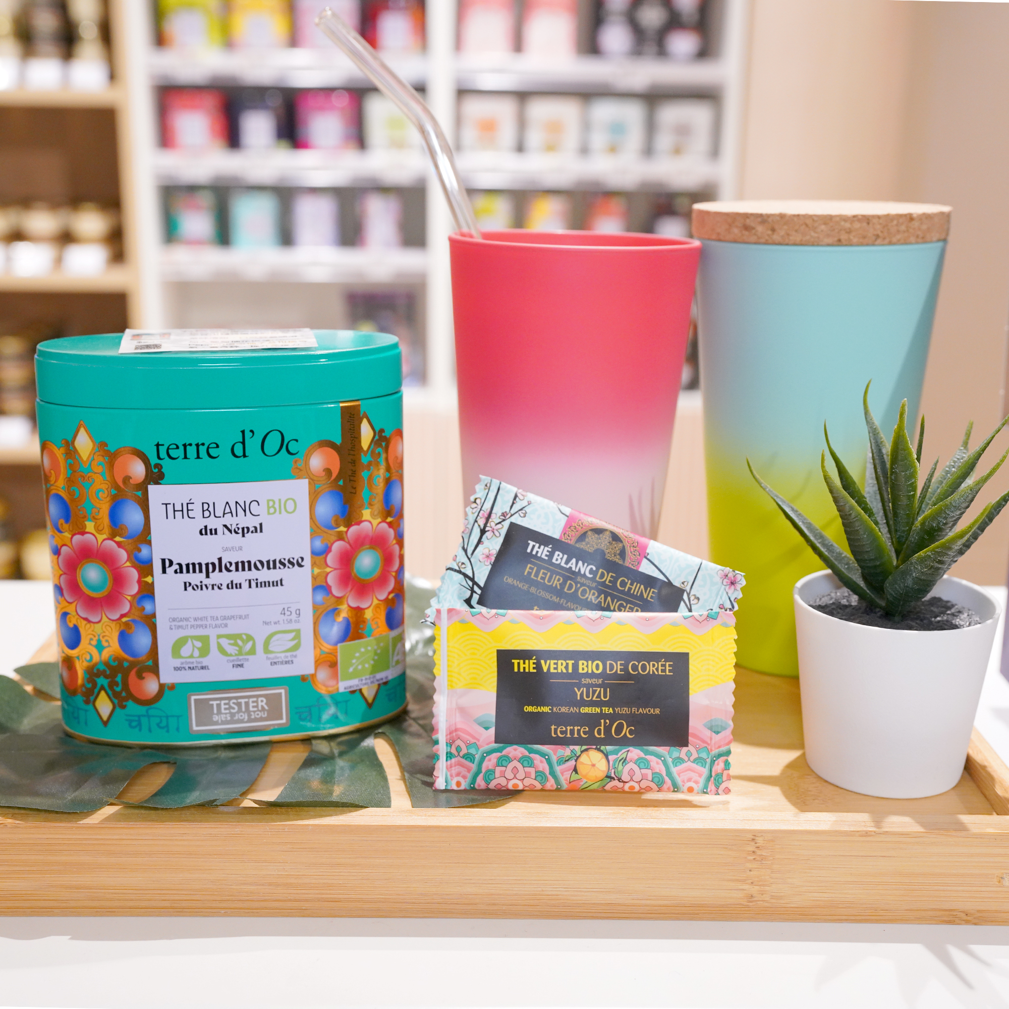 202509 French Zone_0005_6