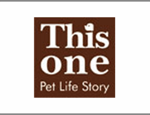 This one Pet Life Story